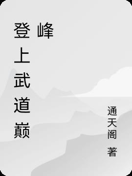 武道巅峰是什么意思啊