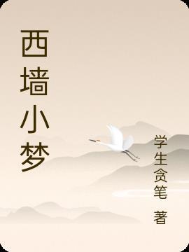 西墙阅读答案2018