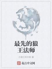 月圆之夜法师打狼王