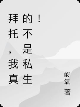 我真的不是私生TXT