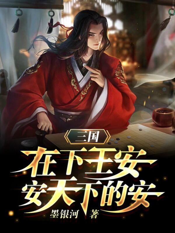 三国在下王安安天下的安笔趣阁