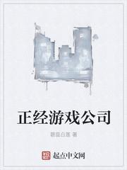 纯游戏公司