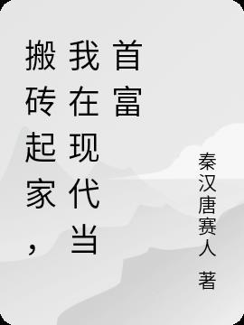 搬的什么砖