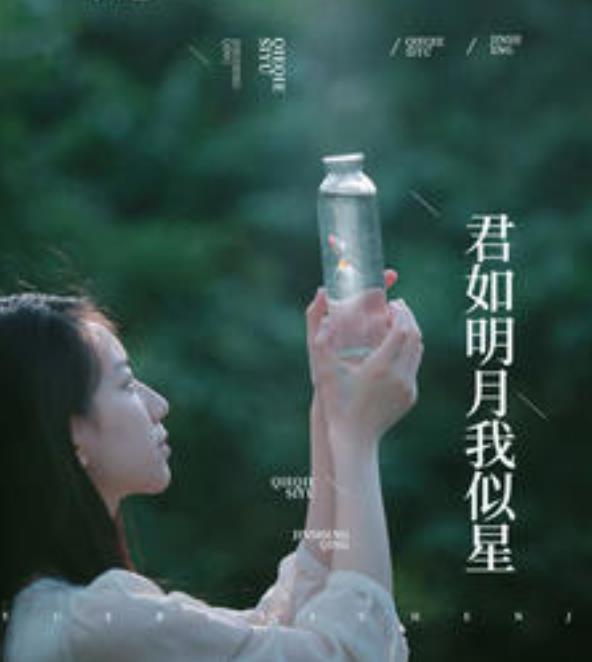 君如明月我似星电视剧