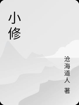 小修系统官网