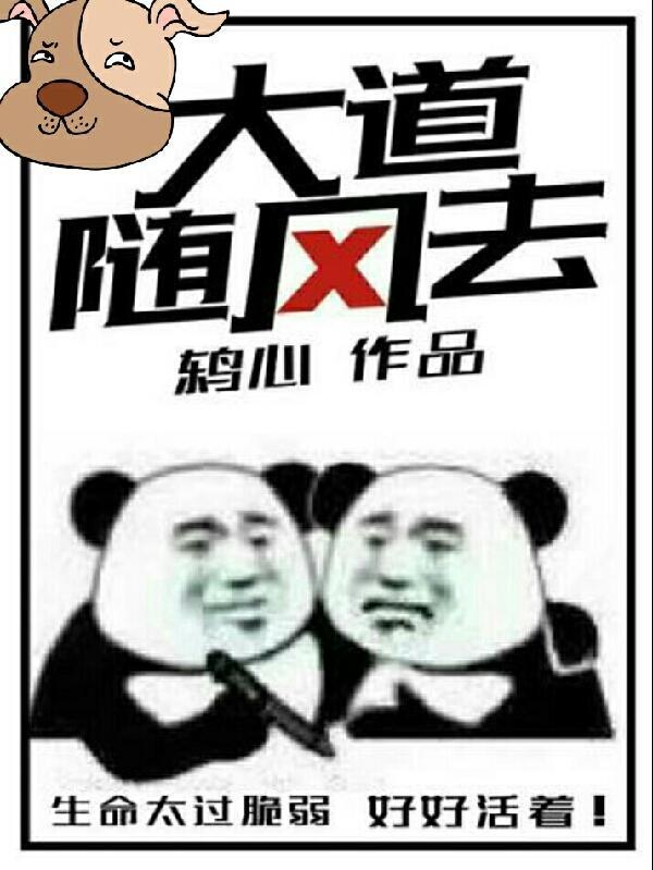 大道随行什么意思