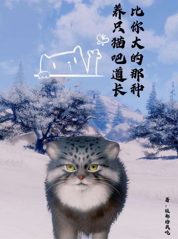 养只猫吧