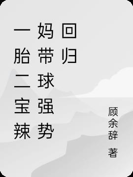 一胎二宝是什么