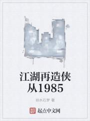 江湖再造侠从1985txt