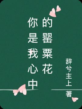 你是我心中的传奇作文