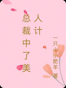 美人总裁老婆