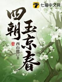 四朝玉京春讲什么