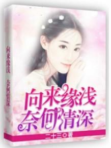 向来缘浅奈何情深句子