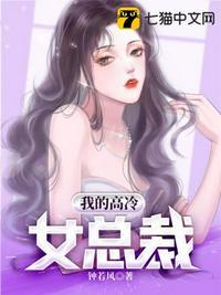 我的高冷女总裁TXT免费