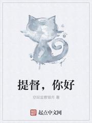 提督是干什么的