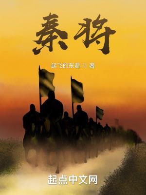 秦将军智能锁和石将军哪个好