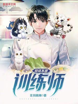 我可不是训练师无错版