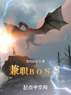 兼职boss无错版