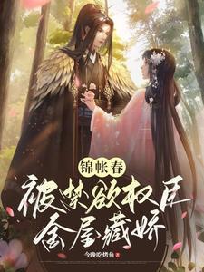 锦帐春完整版