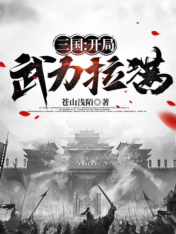 三国之开局武力无敌