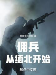 我在缅北当佣兵改名