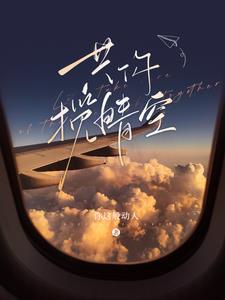 共你揽晴空讲的什么