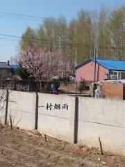 一村烟雨任平生