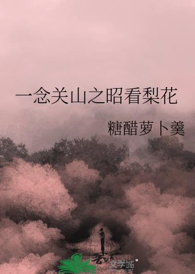 一念关山遗昭