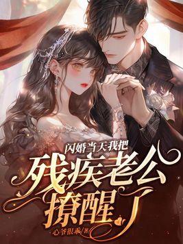 闪婚残情成伤376章