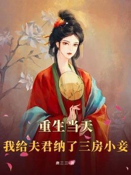 我给夫君找了个小妾