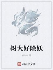 树大易招风是什么意思