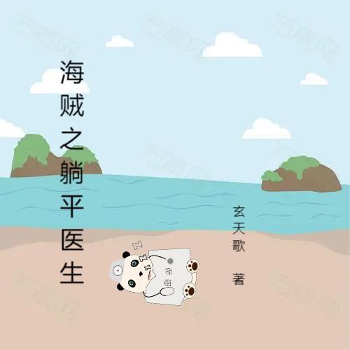 海贼医生罗