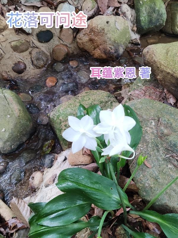 花落无可奈何花落去似曾相识燕归来