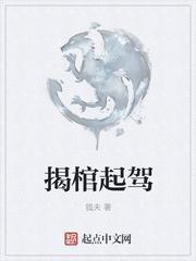 揭棺起驾上一本书