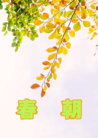 春朝沈京姝裴玄肆名字