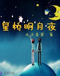 星桥夜度什么意思