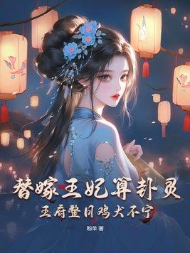 替嫁王妃完结全文免费