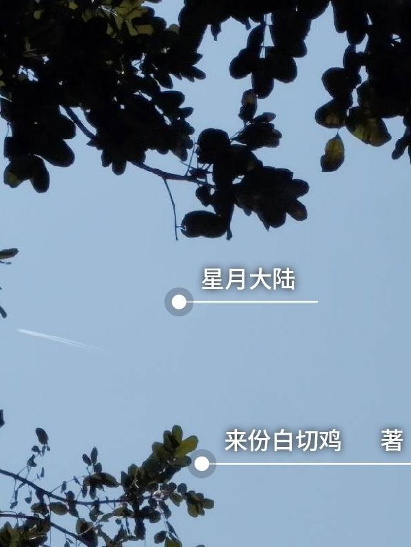 星月大陆 作者 月大陆