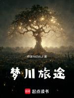 宝可梦旅途中文版