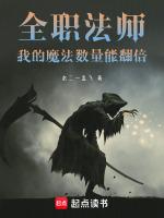 全职法师所以魔法