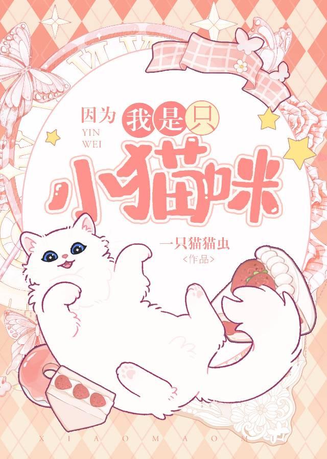 原来我是一只小猫咪