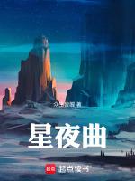 星夜曲式分析