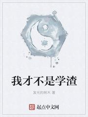 不是学渣是什么