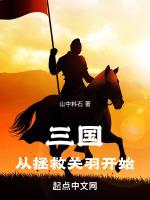 三国从拯救关羽开始作者山中料石免费阅读