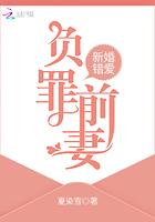 新婚错爱负罪前妻全文