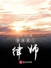 请二个律师好不好