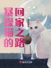 暴躁猫猫著