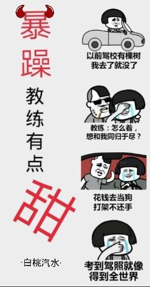 暴躁武馆教练