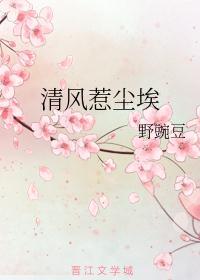 不惹清风不惹尘