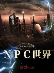 npc世界观